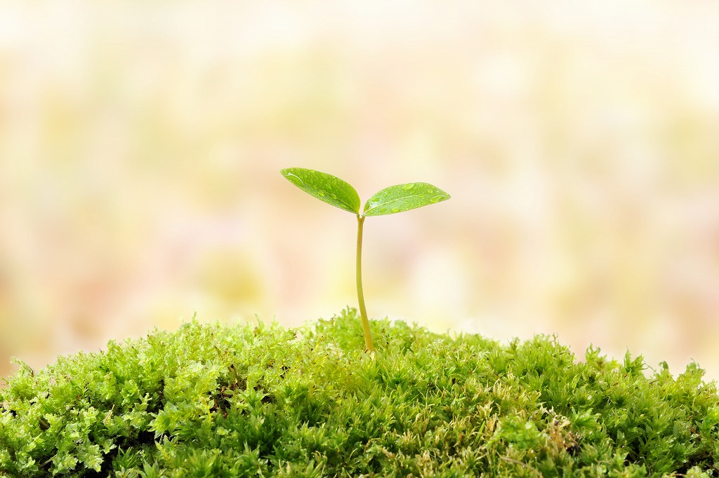 安全管理技術を学ぶ！株式会社KENSINの鳶求人情報